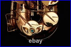 NEW Yanagisawa AWO2 (A-WO2) Bronze Alto Saxophone BrassBarn