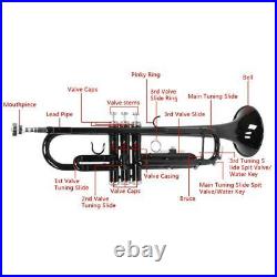New Black Student School Band Bb Trumpet With Casa Xmas Gift for Beginner