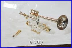 New Pic Piccolo Trumpet Gold And Silver Plated Bb/a Pitch With Hard Case And Mp