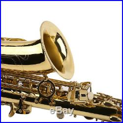 New Professional Eb Alto Sax Saxophone Paint Gold with Carry Case Accessories