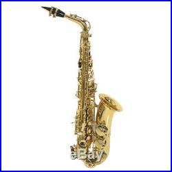 New Professional Eb Alto Sax Saxophone Paint Gold with Case and Accessories AL