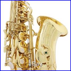 New Professional Eb Alto Sax Saxophone Paint Gold with Case and Accessories AL