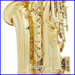 New Professional Eb Alto Sax Saxophone Paint Gold with Case and Accessories HC