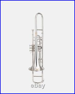 Nickel FINISH Bb FLAT-VALVE TRUMBONE-FREE HARD/CASE+TROMBONE