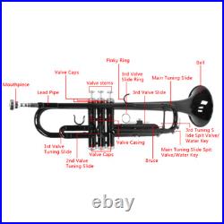 Nickel Plating Trumpet Set with Mouth of Trumpet Gloves Black