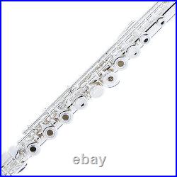 OPEN HOLE SILVER PLATED with Split E Italian Pads C FLUTE
