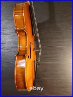 Old Violin Heinrich Moritz Schuster