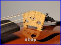 Old Violin Heinrich Moritz Schuster