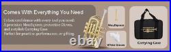 POCKET TRUMPET Bb BRASS WithFREE HARD CASE, AND MOUTHPIECE