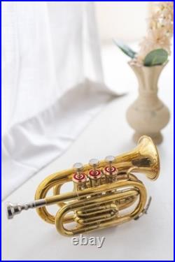 POCKET TRUMPET Bb BRASS WithFREE HARD CASE, AND MOUTHPIECE