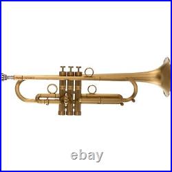 Phaeton PHT-LV-1200 Las Vegas Model Trumpet Brushed Brass Finish
