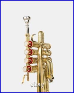 Piccolo Trumpet BRASS Pitch 4-Valve Finish with Case &Mouthpiece