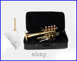 Piccolo Trumpet BRASS Pitch 4-Valve Finish with Case &Mouthpiece