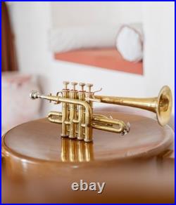 Piccolo Trumpet BRASS Pitch 4-Valve Finish with Case &Mouthpiece