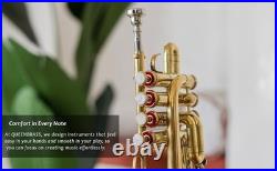 Piccolo Trumpet BRASS Pitch 4-Valve Finish with Case &Mouthpiece
