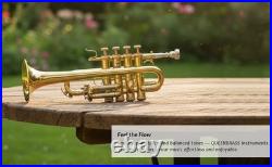 Piccolo Trumpet BRASS Pitch 4-Valve Finish with Case &Mouthpiece