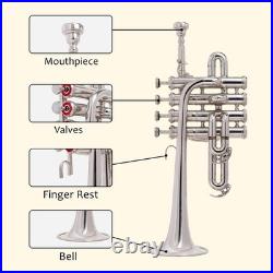 Piccolo Trumpet Chrome Finish Bb\a With Case And Mouthpiece