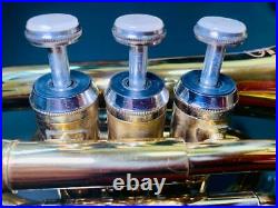 Pocket Trumpet Selva Sptr-100 Ishibashi Instruments Muted