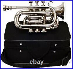 Pocket Trumpet Valves Mouthpiece Carry Case Musical Instruments Great