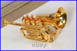 Pocket trumpet Gold finish BB pitch with Hard case bag And Mouthpiece