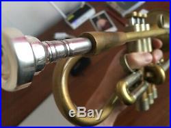 Pro Trumpet Adams A4 Shepherd's Cook, L bore, raw brass, gold brass, case