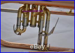 Prof. Rose brass Bb Flugelhorn Cupronickel tuning pipe Flugel Horn Monel 151.8mm