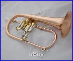 Prof. Rose brass Bb Flugelhorn Cupronickel tuning pipe Flugel Horn Monel 151.8mm