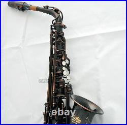 Professioanl Red Antique Brass TaiShan Alto Saxophone Sax Eb High F# With case