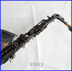 Professioanl Red Antique Brass TaiShan Alto Saxophone Sax Eb High F# With case