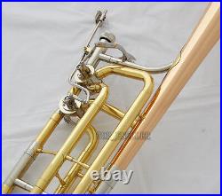 Professional 2 Rotor Bass Trombone Horn Bb/F/Eb&Bb/F/D/Gb Key Rose Brass Bell
