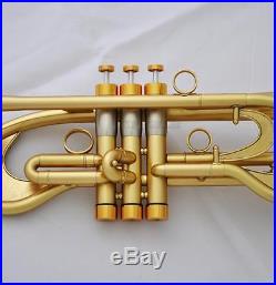 Professional Bb Trumpet Customized Flumpet Horn Matt Finish With Case