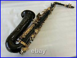 Professional Black Gold Alto Saxophone Sax Brand New