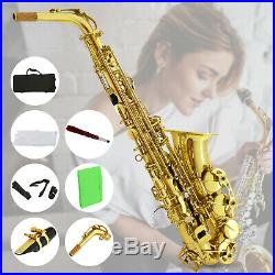 Professional Eb Alto Sax Saxophone School Paint with Case Mouthpiece Carekit