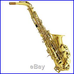 Professional Eb Alto Sax Saxophone School Paint with Case Mouthpiece Carekit