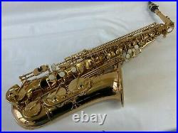 Professional Gold Alto Saxophone Sax Brand New