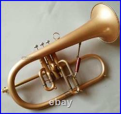 Professional Matt Gold Flugelhorn Monel Valve Bb Horn Gold Brass Body With Case