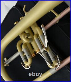 Professional NEW Bb Flugelhorn Satin Matt By WEIBSTER Musical quality FLUGEL