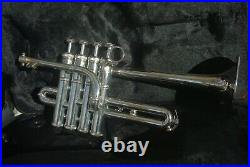 Professional Piccolo BRASSPIRE Unicorn BEAUTIFUL SOUND! Trumpet Trompete no Bach