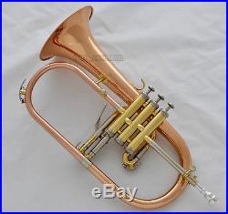 Professional Rose Brass Bb Flugelhorn 3 Monel Valve Cupronickel Tuning with Case