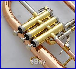 Professional Rose Brass Bb Flugelhorn 3 Monel Valve Cupronickel Tuning with Case