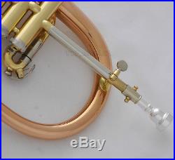 Professional Rose Brass Flugelhorn Cupronickel tuning Bb Flugel horn With Case