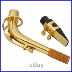 Professional Saxophone Sax Eb Be Alto E Flat Brass with Case+Care Kit