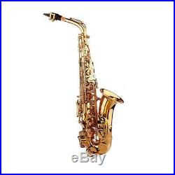 Professional Saxophone Sax Eb Be Alto E Flat Brass with Case+Care Kit N6J6