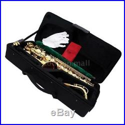 Professional Saxophone Sax Eb Be Alto E Flat Brass with Case+Care Kit N6J6