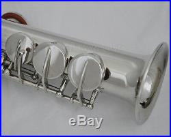 Professional Silver Eb Sopranino Saxophone Sax Low B to high F FREE mouthpiece
