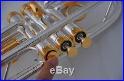Professional silver Eb/D key trumpet monel valves horn gold tuningpipe with case