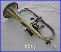 Professionl new Flugelhorn Antique Flugel Horn Monel Valve Bb key with Case