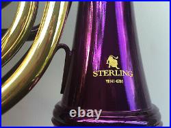 Purple STERLING Bb/F Double FRENCH HORN PRO QUALITY NEW Case