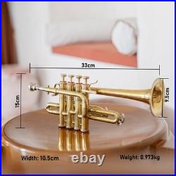 QUEENBRASS /BRASS PICCOLO TRUMPET FREE CASE+Mouthpiece SALE BUY NOW-PICOLO HORN