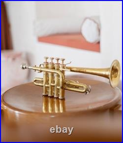 QUEENBRASS /BRASS PICCOLO TRUMPET FREE CASE+Mouthpiece SALE BUY NOW-PICOLO HORN